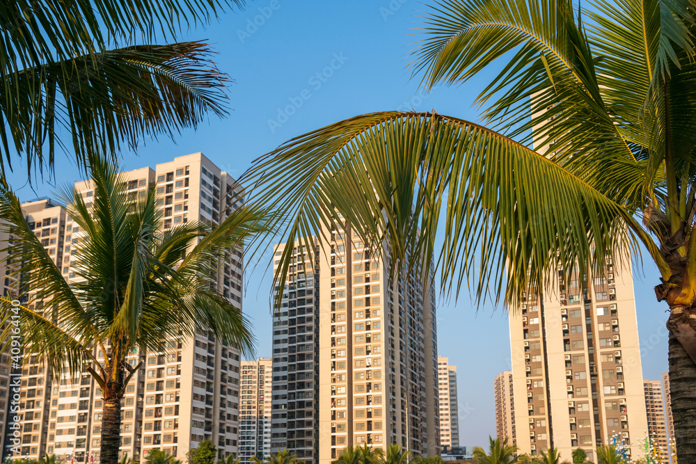 Palm tree branches with apartment buildings on background