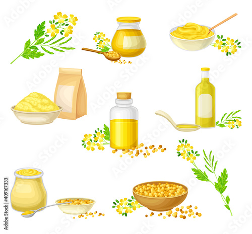 Mustard Plant with Seeds, Oil in Jar and Sauce in Bowl Vector Set