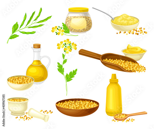 Mustard Plant with Seeds, Oil in Jar and Sauce in Bottle Vector Set