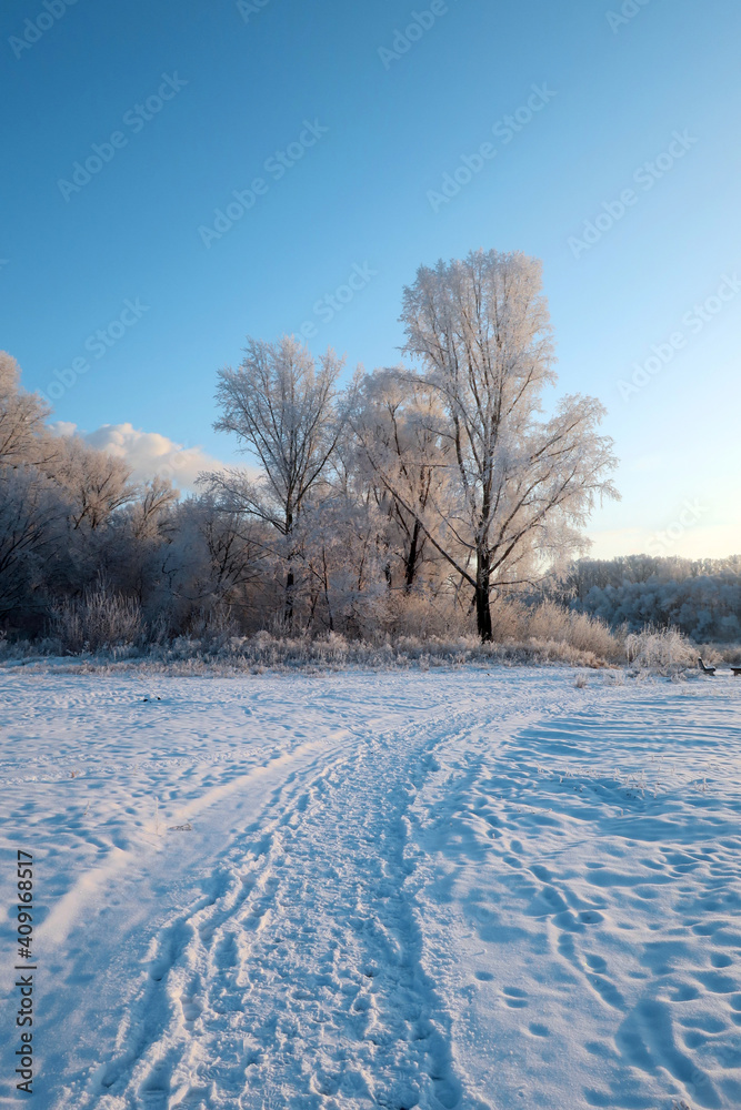 Obraz premium winter landscape in park