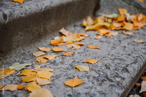 Flying autumn leaves on a concrete step