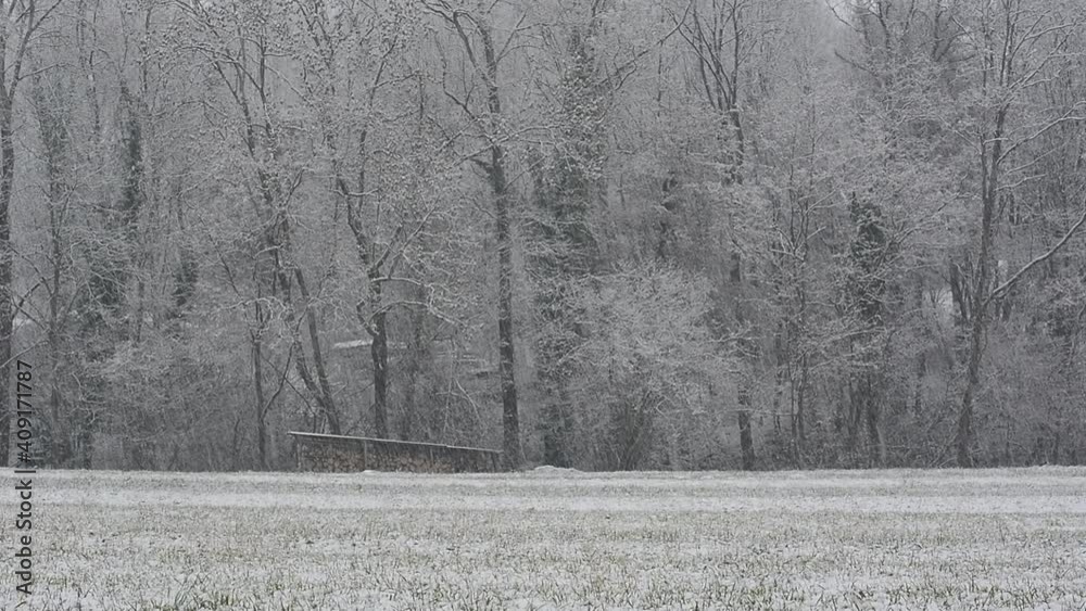 wind and snow whiten the mountains and woods wind and snow whiten the mountains and woods