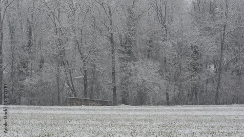 Wallpaper Mural wind and snow whiten the mountains and woods Torontodigital.ca