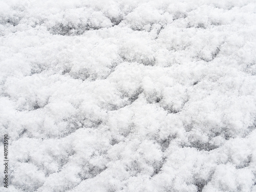 winter background - snow adhered to the window pane