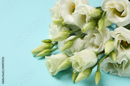 Bouquet of roses on blue background, close up and space for text