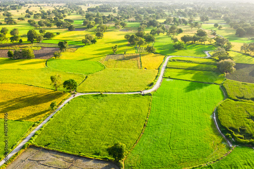 Aerial image of ripen rice fileds in Ta Pa, Bay Nui , An Giang - Vietnam
 photo