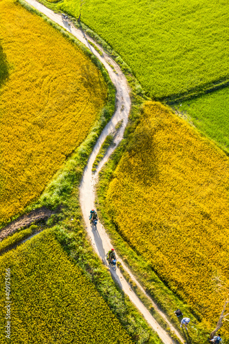 Aerial image of ripen rice fileds in Ta Pa, Bay Nui , An Giang - Vietnam
 photo