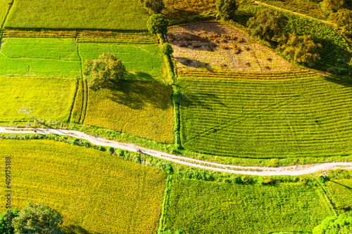 Aerial image of ripen rice fileds in Ta Pa, Bay Nui , An Giang - Vietnam
 photo