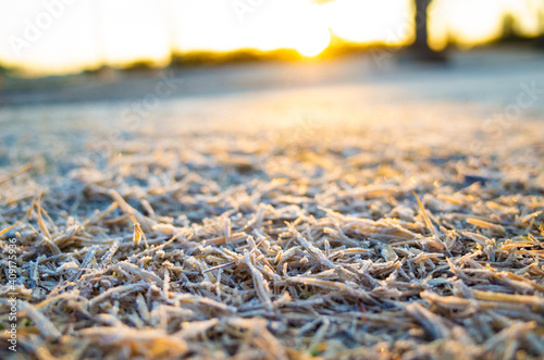 霜の付いた芝生