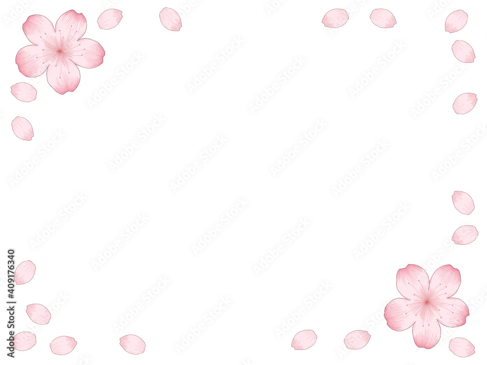 桜の花と花びらのイラストフレーム デッサン風の線画と水彩風の塗り