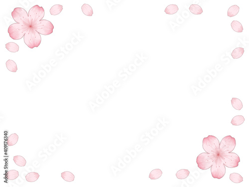Fototapeta Naklejka Na Ścianę i Meble -  桜の花と花びらのイラストフレーム デッサン風の線画と水彩風の塗り