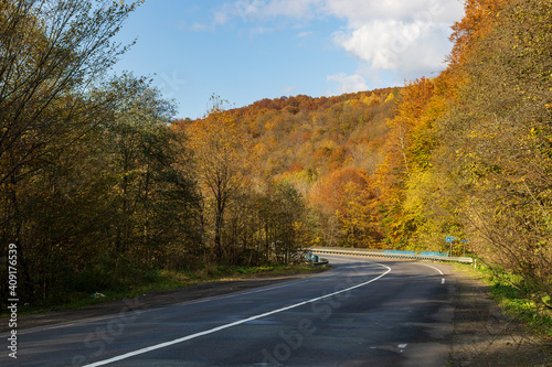 Autumn mountain landscape - yellowed and reddened autumn trees combined with green needles on the side of a small road. Colorful autumn landscape scene in the Ukrainian Carpathians.