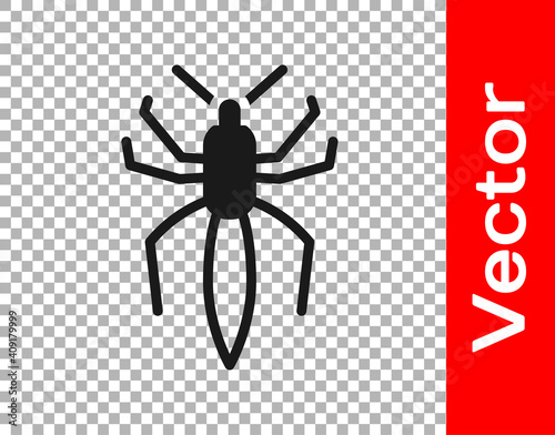 Black Spider icon isolated on transparent background. Happy Halloween party. Vector.