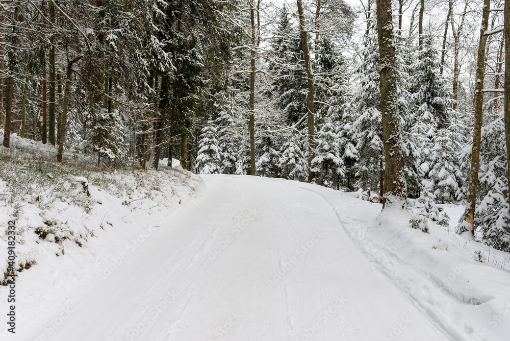 Fototapeta premium Winter road and trees covered with snow.Winter landscape.