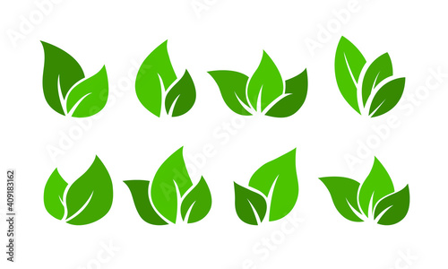 Leaves vector set - collection of green leaf icons to use in logo or as eco friendly design elements.