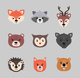 Beautiful set of child style woodland animals vector collection