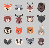 Beautiful set of child style woodland animals vector collection