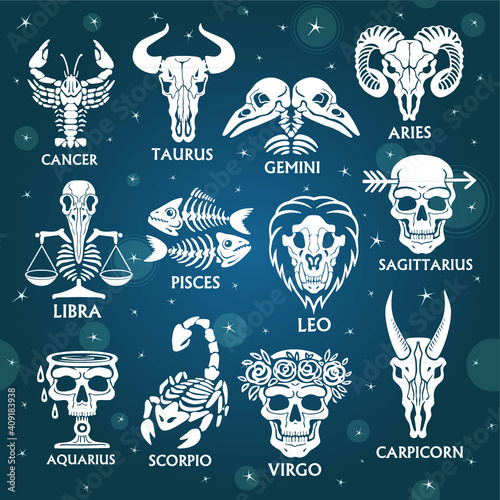 Bone horoscope. Zodiac signs. Background - the star sky. Vector illustration.