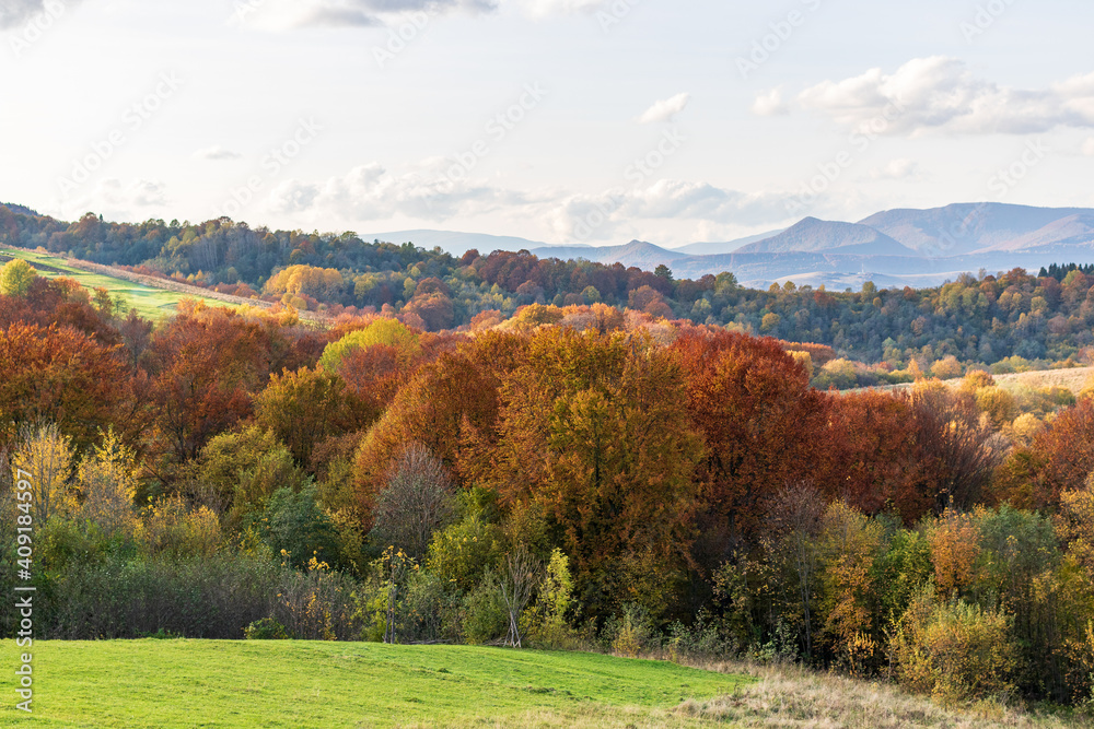 Autumn mountain landscape - yellowed and reddened autumn trees combined with green needles and blue skies. Colorful autumn landscape scene in the Ukrainian Carpathians. Panoramic view.