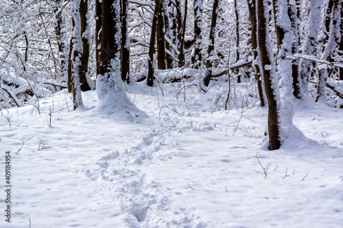 Uroki śnieżnej zimy, Podlasie, Polska