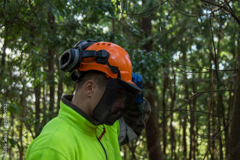 lumberjack with protective helmet in the forest lumberjack with protective helmet in the forest