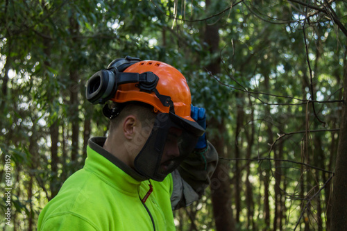 lumberjack with protective helmet in the forest