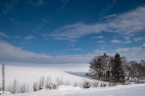 ある晴れの日の美瑛冬景色 © 大西 親文