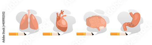 Harm from Smoking. Unhealthy habit smoking and harm for organs, cancer of lungs, heart disease, diseases of the brain and stomach, toxic cigarette smoke.