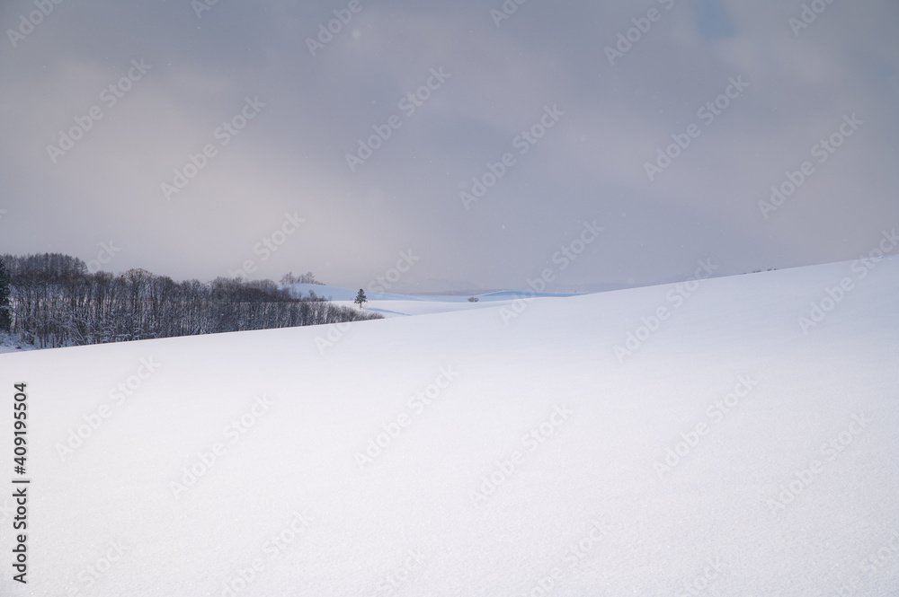 雪雲の下の美瑛の丘