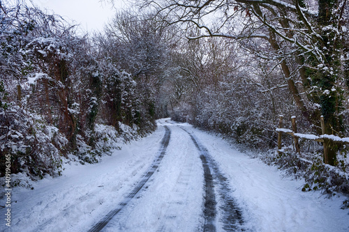 Country lane with tree marks in snow