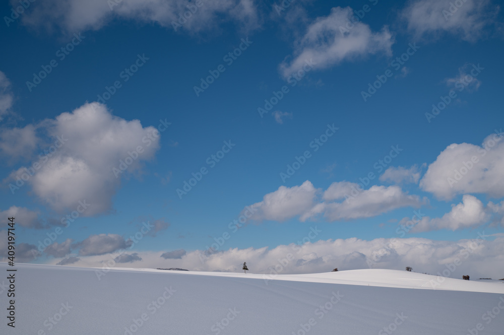 広大な青空の下の美瑛の雪大地