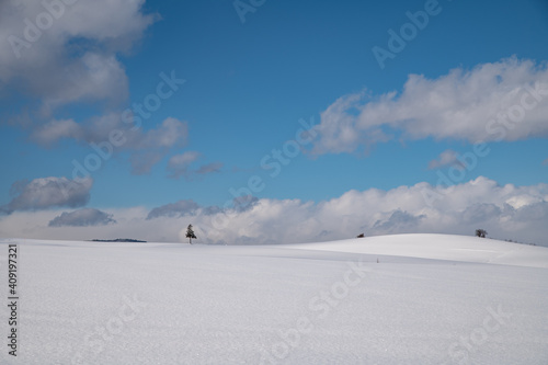 素敵な青空の冬美瑛の丘 © 大西 親文