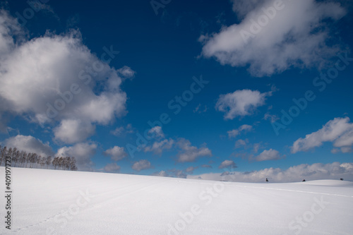 素晴らしい空の下の冬美瑛の丘 © 大西 親文
