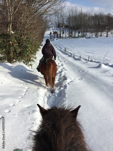 horse riding in snow