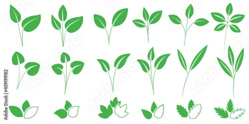 Set of green leaves illustration. Ecology concept icons for web  logo design. Vector illustration.                                                                                                 