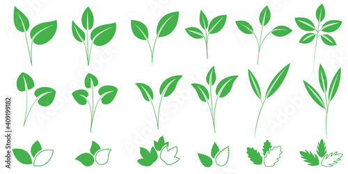Set of green leaves illustration. Ecology concept icons for web, logo design. Vector illustration. グリーンリーフイラスト、エコ、再生、リサイクルコンセプトアイコン
