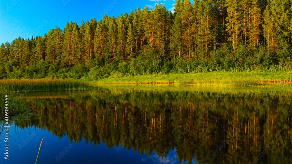 reflection of the forest in the river