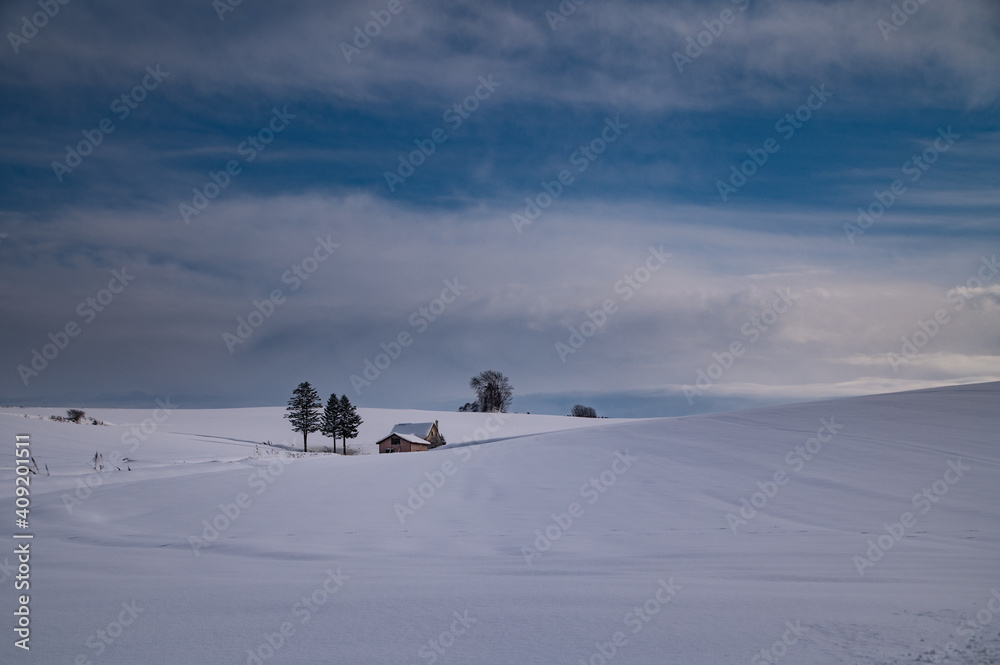 冬美瑛吹雪の合間素敵な風景