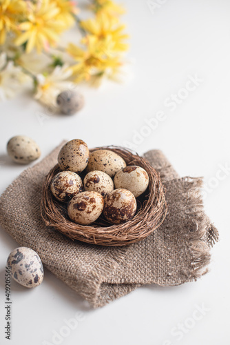 Happy easter! Congratulatory Easter background. Easter eggs and flowers. Quail eggs in the nest. Spring background. Copy space