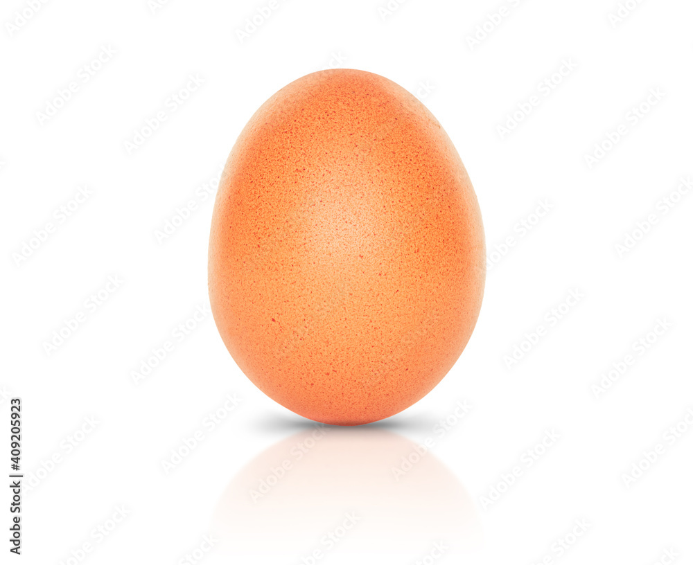 egg isolated on white background, shadow and reflection egg isolated on white background, shadow and reflection