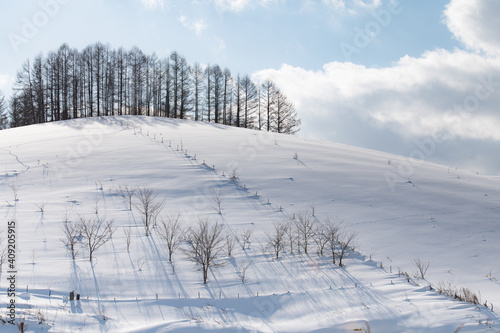 冬美瑛素晴らしい雪影のある丘 © 大西 親文