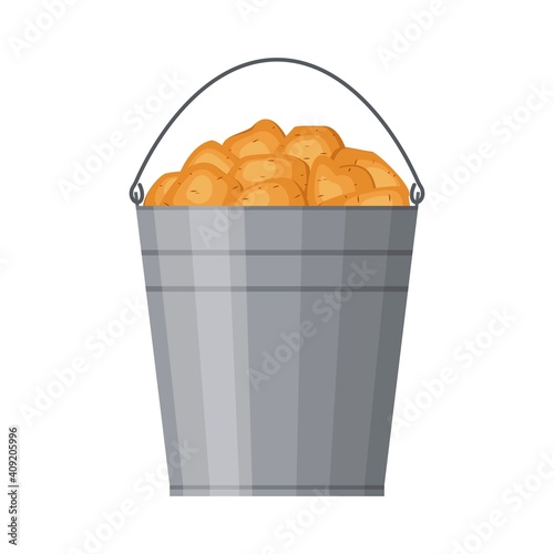 Metal bucket filled with potatoes isolated on white background. Harvested crop, pile of tubers plant. Fresh organic vegetable garden. Vector illustration
