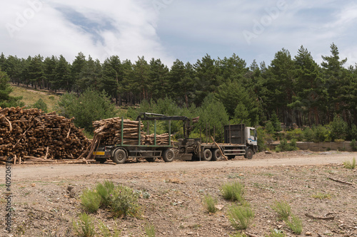wooden stick transport truck in Sierra Nevada