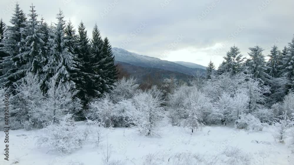 Winter mountain scene. View from a snowy mountain hill and snow-covered winter trees. Winter mountain scene. View from a snowy mountain hill and snow-covered winter trees.