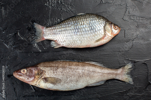 Bersh fish and carp on black background