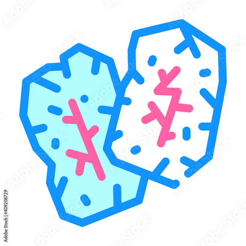 runes accessory color icon vector illustration flat