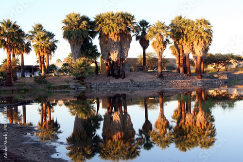 Palmwag Lodge in Namibia with  palm reflectio photo