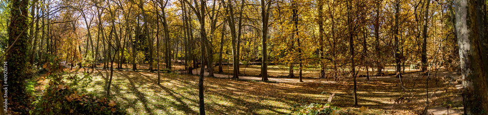 fotografía panorámica de un bosque en el parque del monasterio de piedra.