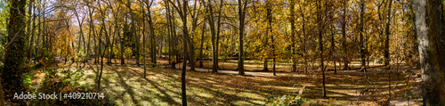 fotograf  a panor  mica de un bosque en el parque del monasterio de piedra.