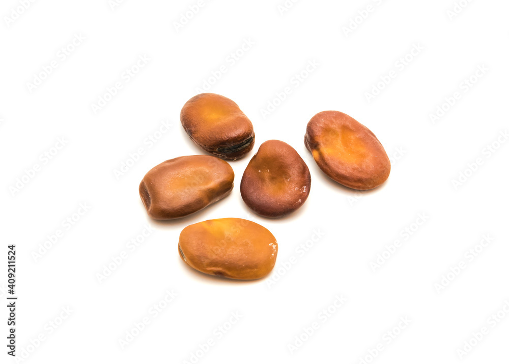 Five fava beans or broad beans planting seeds isolated on white background Five fava beans or broad beans planting seeds isolated on white background